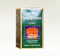 Cordyceps Sinensis